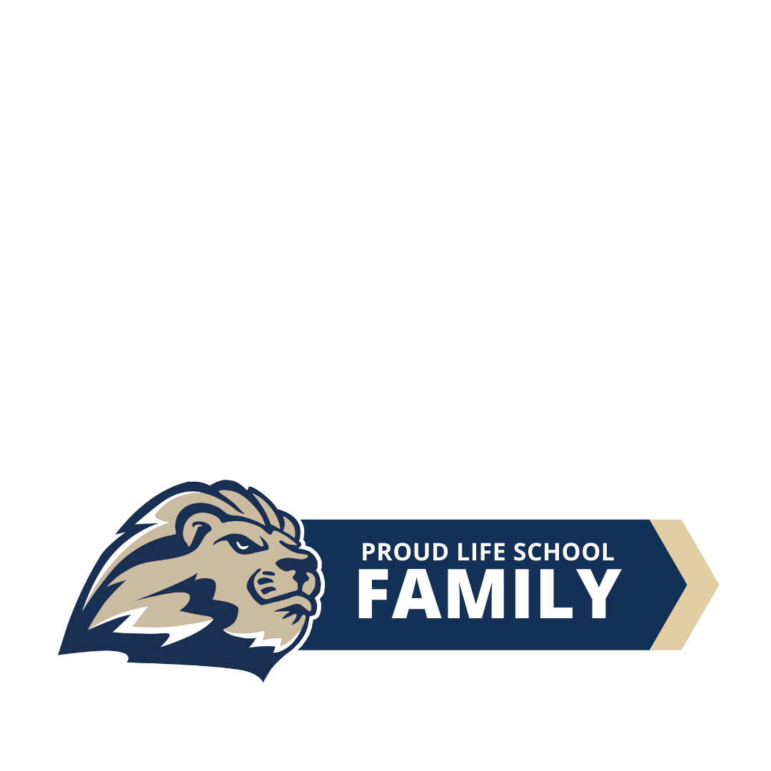 LSOC Proud Family Frame