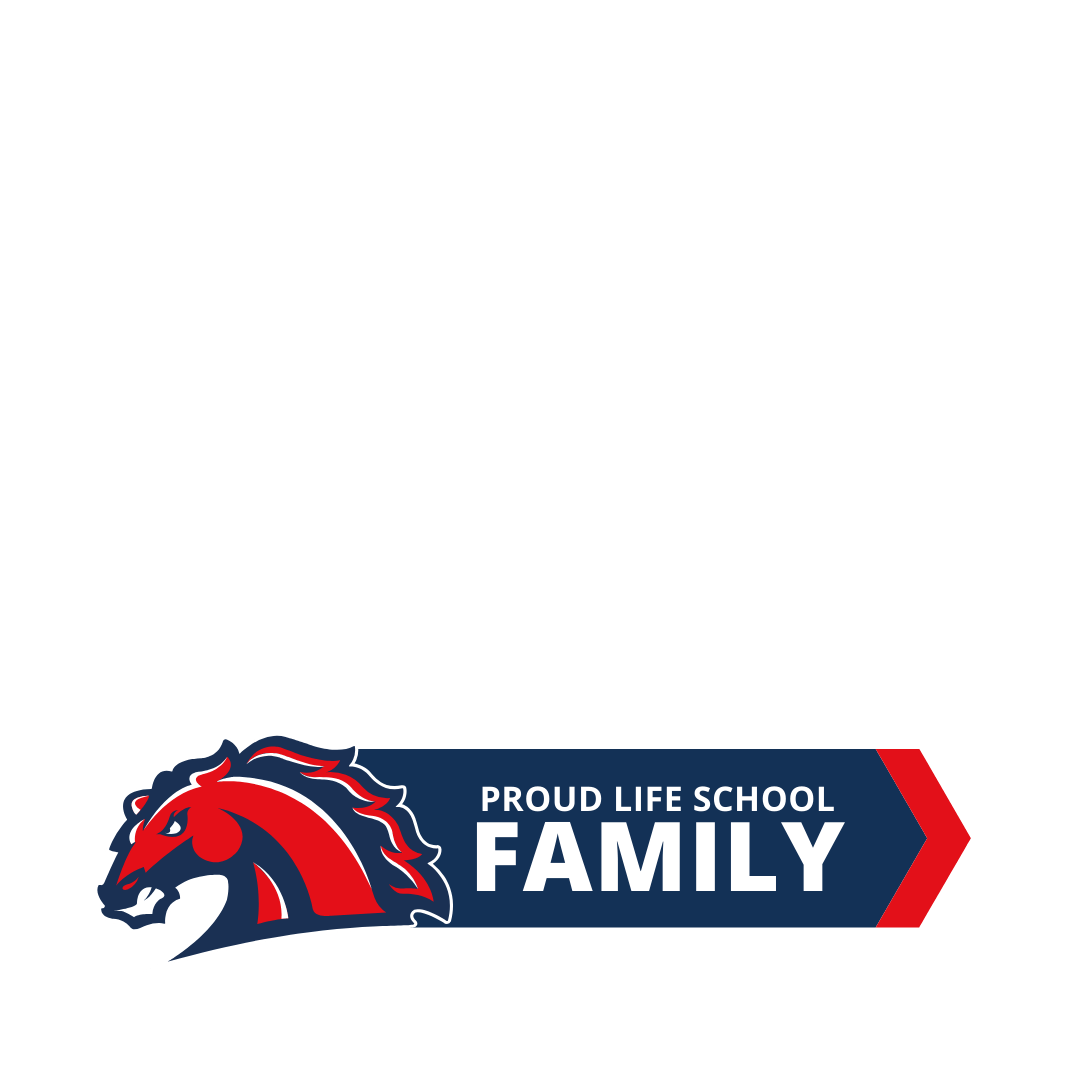 LSRO Proud Family Frame